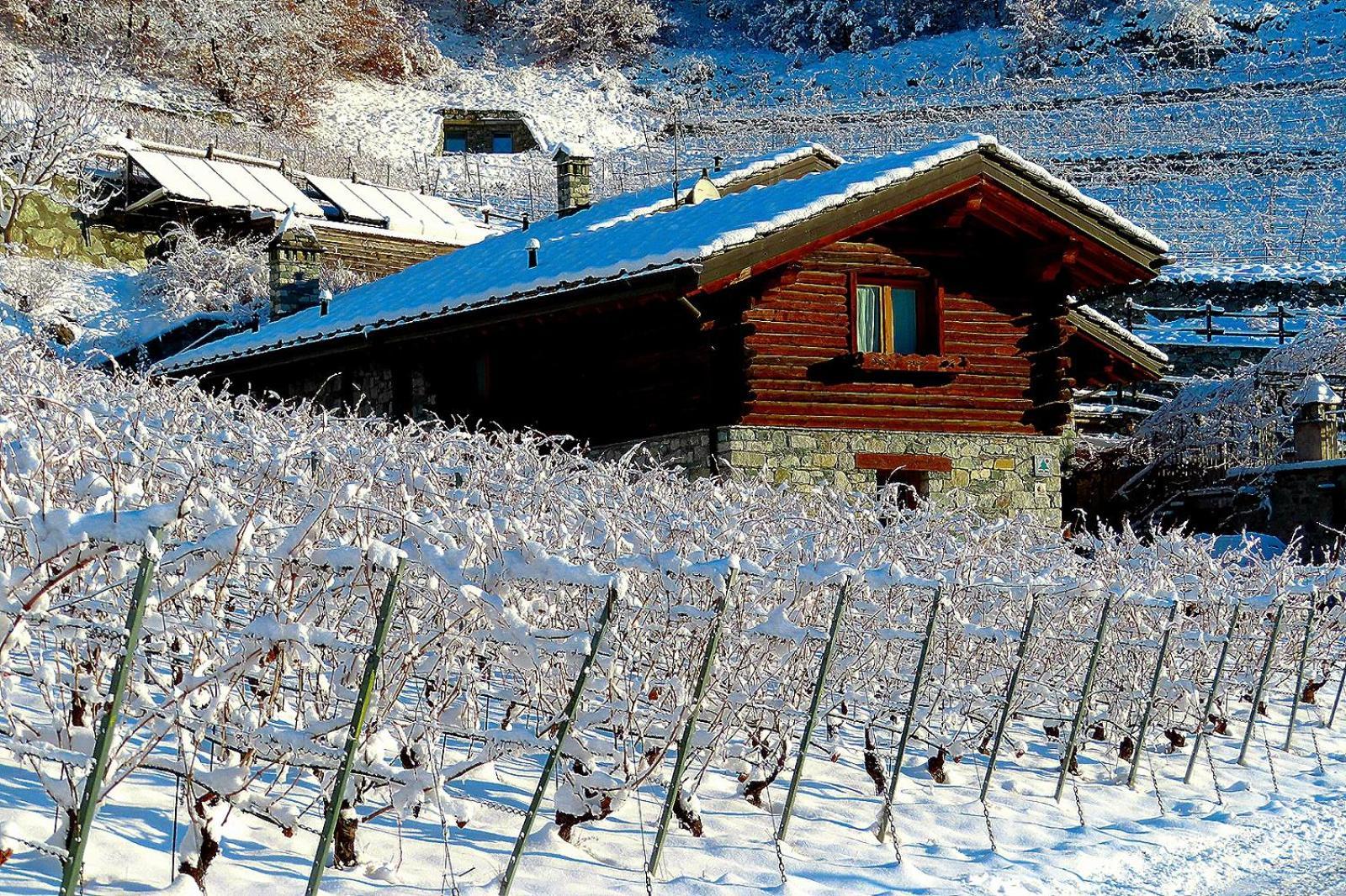 La Vrille - Chambres D'Hotes Verrayes Екстериор снимка