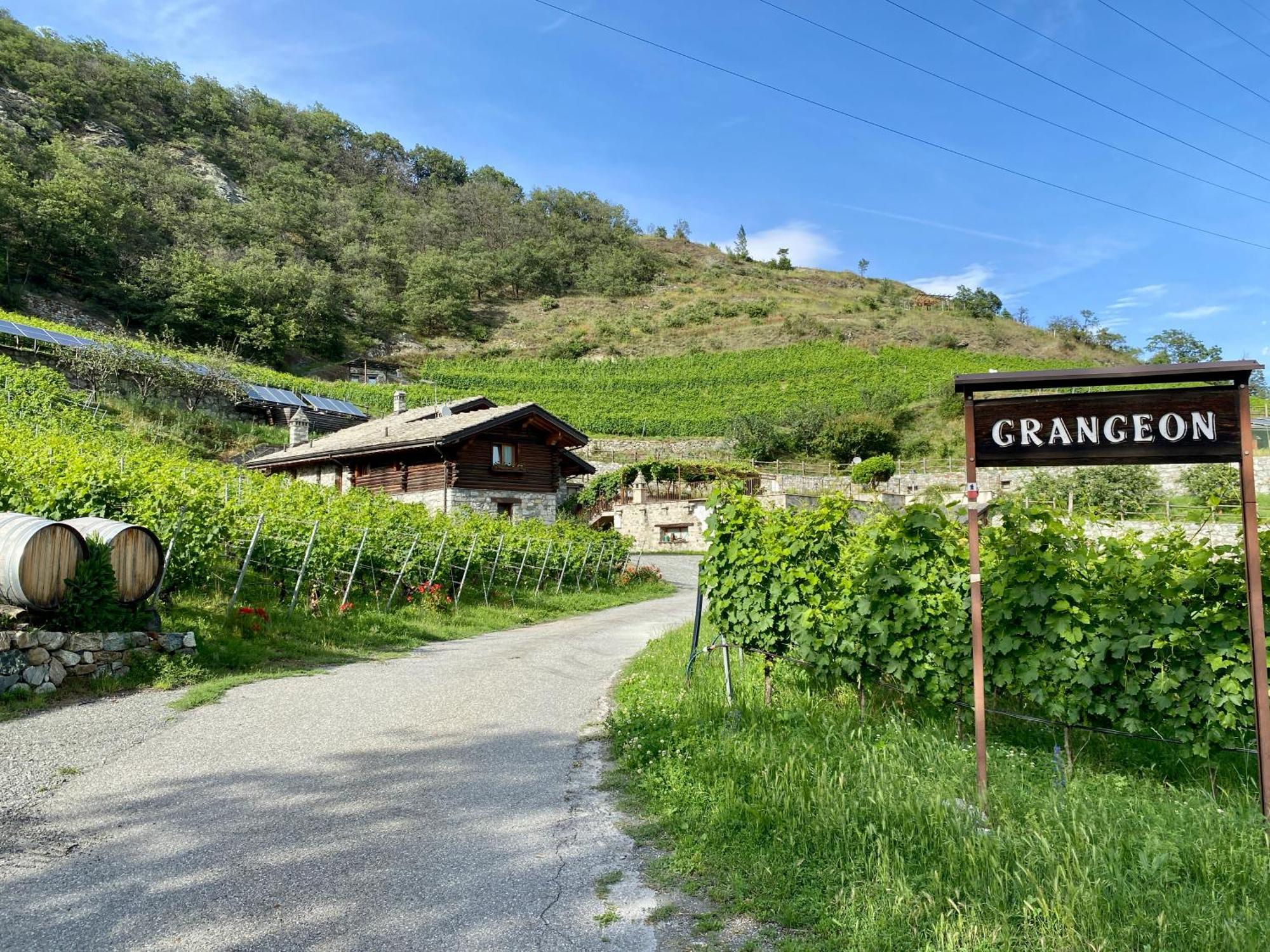 La Vrille - Chambres D'Hotes Verrayes Екстериор снимка