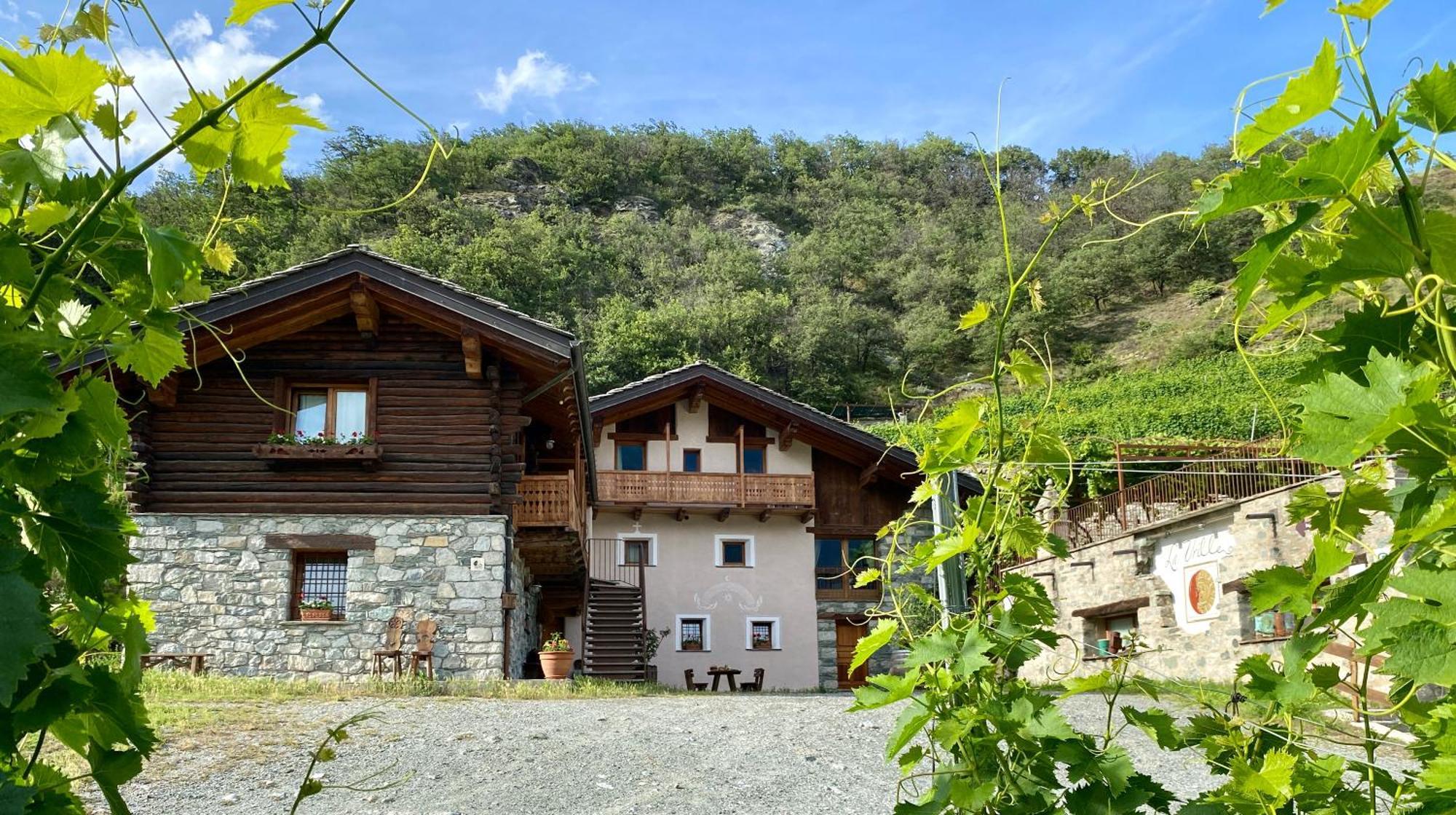 La Vrille - Chambres D'Hotes Verrayes Екстериор снимка