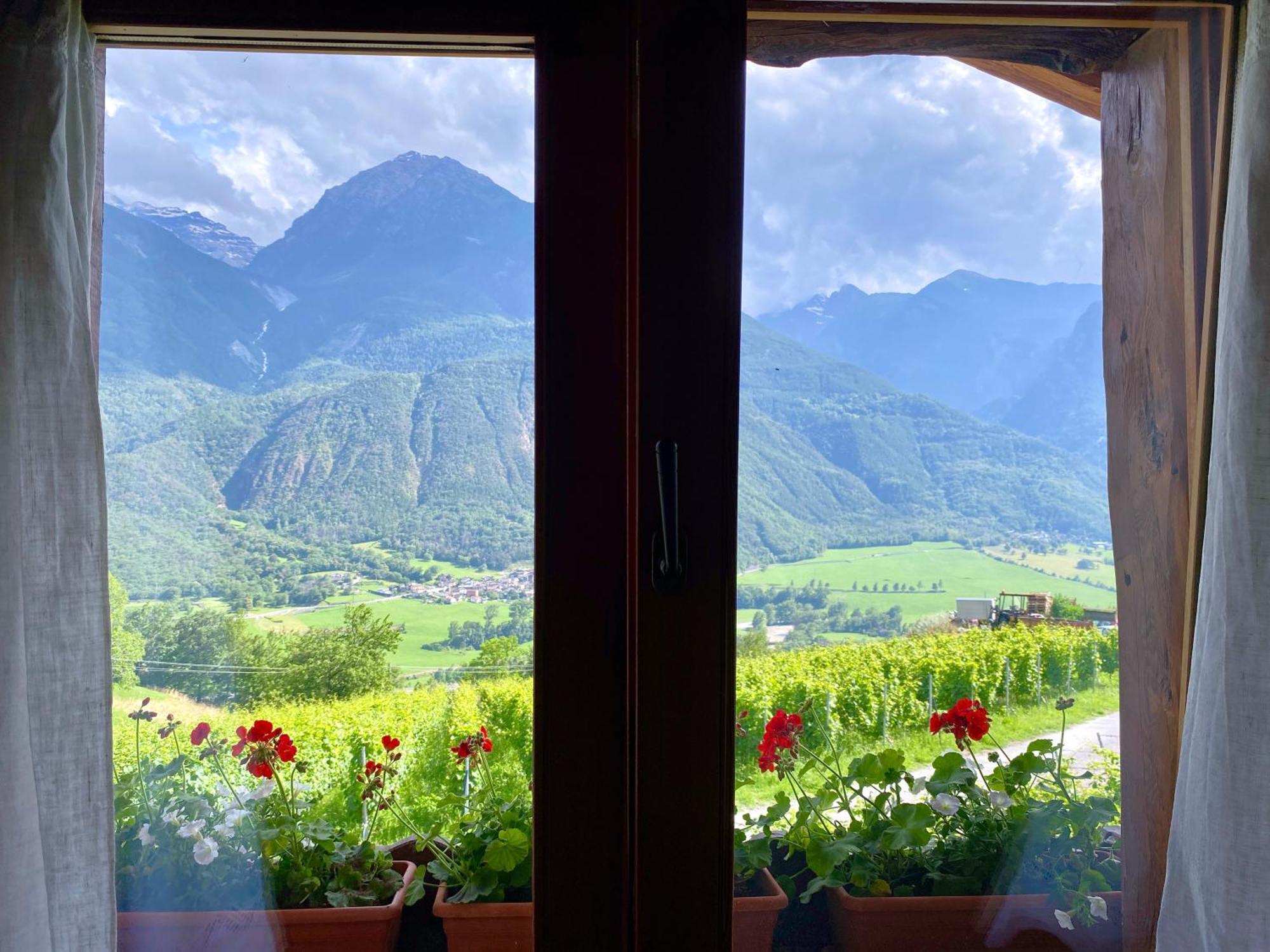 La Vrille - Chambres D'Hotes Verrayes Екстериор снимка